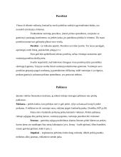 Verslo planas: konditerijos gaminiai UAB "Svaja" 14 puslapis