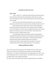 Verslo planas: konditerijos gaminiai UAB "Svaja" 17 puslapis