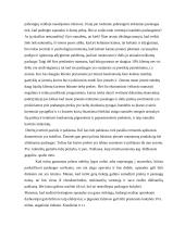 Verslo planas: konditerijos gaminiai UAB "Svaja" 18 puslapis