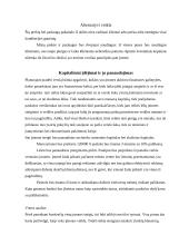 Verslo planas: konditerijos gaminiai UAB "Svaja" 19 puslapis