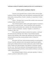 Verslo planas: konditerijos gaminiai UAB "Svaja" 3 puslapis