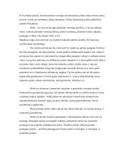 Verslo planas: konditerijos gaminiai UAB "Svaja" 4 puslapis