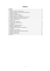 Verslo planas: krovinių pervežimai AB "Autoverslas" 2 puslapis