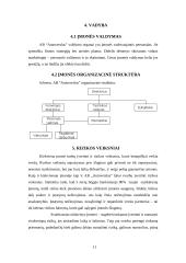 Verslo planas: krovinių pervežimai AB "Autoverslas" 11 puslapis