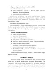 Verslo planas: krovinių pervežimai AB "Autoverslas" 5 puslapis