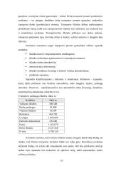 Verslo planas: krovinių pervežimai AB "Autoverslas" 10 puslapis