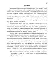 Verslo planas: langų sandarinimo paslaugos IĮ "Daiberta"