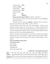 Verslo planas: langų sandarinimo paslaugos IĮ "Daiberta" 13 puslapis