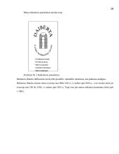 Verslo planas: langų sandarinimo paslaugos IĮ "Daiberta" 16 puslapis