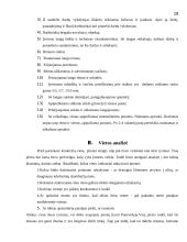 Verslo planas: langų sandarinimo paslaugos IĮ "Daiberta" 19 puslapis