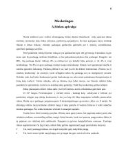 Verslo planas: langų sandarinimo paslaugos IĮ "Daiberta" 6 puslapis