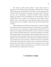 Verslo planas: langų sandarinimo paslaugos IĮ "Daiberta" 9 puslapis