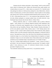 Verslo planas: langų sandarinimo paslaugos IĮ "Daiberta" 10 puslapis