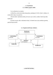 Verslo planas: miško kirtimas ir medienos ruošimas pardavimui UAB "Ularita" 11 puslapis