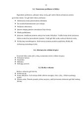 Verslo planas: miško kirtimas ir medienos ruošimas pardavimui UAB "Ularita" 12 puslapis