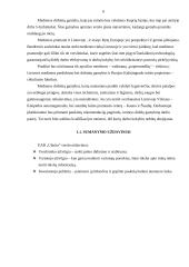 Verslo planas: miško kirtimas ir medienos ruošimas pardavimui UAB "Ularita" 5 puslapis