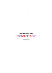 Verslo planas: muzikinis klubas "Norton"