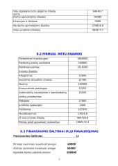 Verslo planas: muzikinis klubas "Norton" 8 puslapis