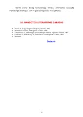 Verslo planas: muzikinis klubas "Norton" 10 puslapis