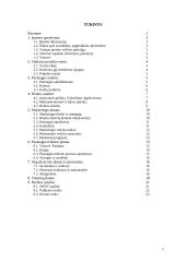 Verslo planas: naminių gyvūnų viešbutis UAB "Vira" 2 puslapis