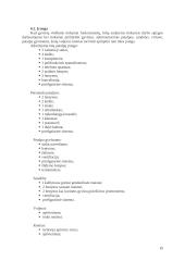 Verslo planas: naminių gyvūnų viešbutis UAB "Vira" 16 puslapis