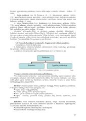 Verslo planas: naminių gyvūnų viešbutis UAB "Vira" 18 puslapis