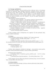 Verslo planas: naminių gyvūnų viešbutis UAB "Vira" 7 puslapis