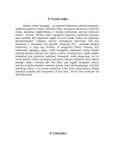 Verslo planas: prekyba šaldytomis uogomis IĮ "Uogytė" 12 puslapis