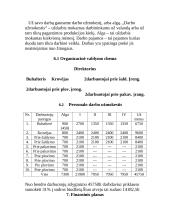 Verslo planas: prekyba šaldytomis uogomis IĮ "Uogytė" 9 puslapis