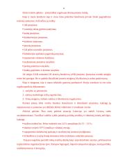 Verslo planas: prekyba tirkotažo gaminiais UAB "Sintija" 11 puslapis