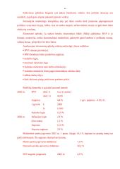 Verslo planas: prekyba tirkotažo gaminiais UAB "Sintija" 12 puslapis