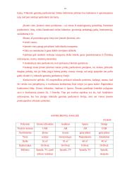 Verslo planas: prekyba tirkotažo gaminiais UAB "Sintija" 14 puslapis