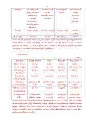 Verslo planas: prekyba tirkotažo gaminiais UAB "Sintija" 15 puslapis