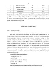 Verslo planas: prekyba tirkotažo gaminiais UAB "Sintija" 18 puslapis