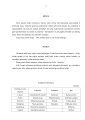 Verslo planas: prekyba tirkotažo gaminiais UAB "Sintija" 9 puslapis