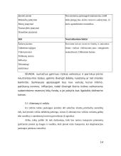 Verslo planas: restoranas UAB "Jerry" 12 puslapis