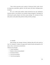 Verslo planas: restoranas UAB "Jerry" 13 puslapis