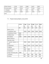 Verslo planas: restoranas UAB "Jerry" 16 puslapis