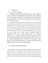 Verslo planas: restoranas UAB "Jerry" 3 puslapis