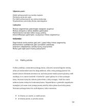 Verslo planas: restoranas UAB "Jerry" 8 puslapis