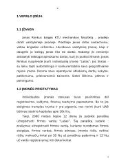 Verslo planas: santechnikos paslaugos Jono Rimkaus individuali įmonė "Lašas" 2 puslapis