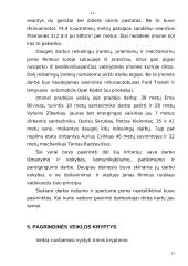 Verslo planas: santechnikos paslaugos Jono Rimkaus individuali įmonė "Lašas" 11 puslapis