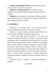 Verslo planas: santechnikos paslaugos Jono Rimkaus individuali įmonė "Lašas" 12 puslapis