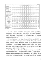 Verslo planas: santechnikos paslaugos Jono Rimkaus individuali įmonė "Lašas" 13 puslapis