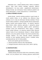 Verslo planas: santechnikos paslaugos Jono Rimkaus individuali įmonė "Lašas" 5 puslapis