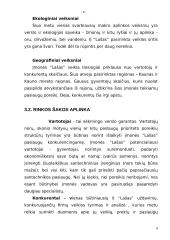 Verslo planas: santechnikos paslaugos Jono Rimkaus individuali įmonė "Lašas" 8 puslapis