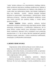 Verslo planas: santechnikos paslaugos Jono Rimkaus individuali įmonė "Lašas" 10 puslapis