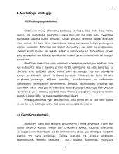 Verslo planas: santechnikos paslaugos UAB "Sanveda" 13 puslapis