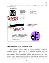 Verslo planas: santechnikos paslaugos UAB "Sanveda" 15 puslapis