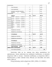 Verslo planas: santechnikos paslaugos UAB "Sanveda" 17 puslapis